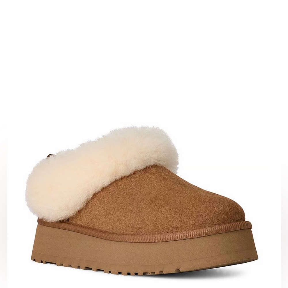 Brand New UGG Tazzelle in Chestnut